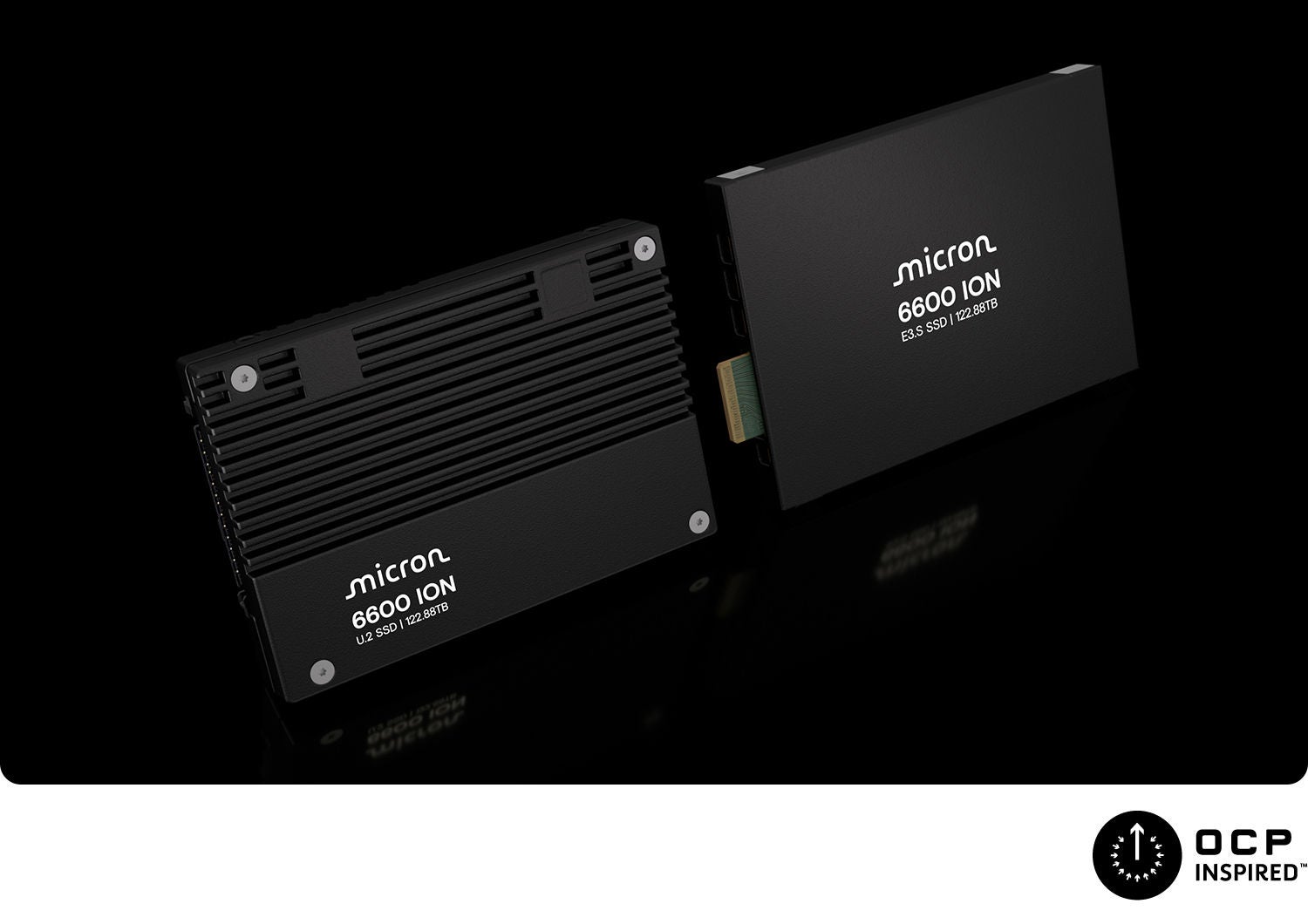Micron 6600 ION SSD product family